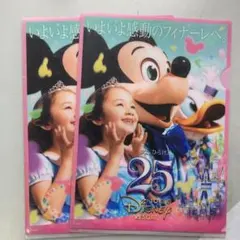 東京ディズニーリゾート 25周年クリアファイル 2枚セット