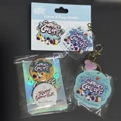 ディズニーランド　ディズニーシー　ピンズ　キーホルダー　サマークールオフ