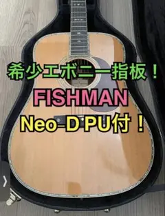 【7/4まで期間限定割❗️】S.yairi YD-42N＆FISHMAN PU付のサムネイル