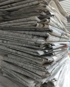 Item thumbnail for item b544b4c1-7aba-49c0-a89f-7cf2f5f1a28f