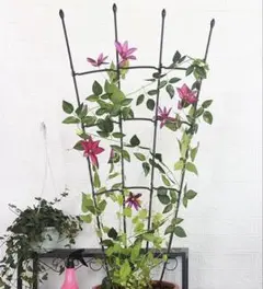 블루문 전용 가드닝 서포트 가드닝 120CM 토피어리 스틱