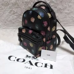 2026年最新】coach リュック ピンクの人気アイテム - メルカリ