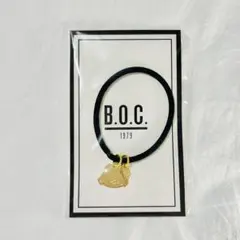 Item thumbnail for item e506c960-d2f3-4439-85f4-0565a6435e7b