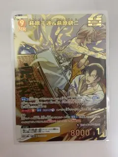 疾風の煌めき 萩原千速&萩原研二 名探偵コナンカード MRP - メルカリ