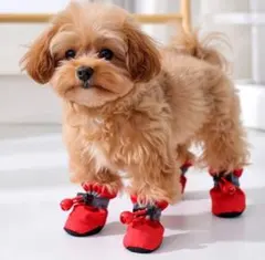 Item thumbnail for item d7b2a732-ab7e-42a4-ba2b-708f9b26655e