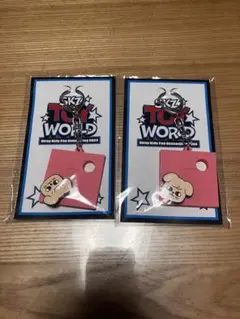 straykids スキズ トイワールド fcクジ キーホルダー ラバークリップ