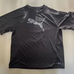 Puma ブラック Tシャツ DRYCELL