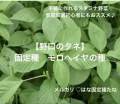 tomato closed様 リクエスト 6点 まとめ商品