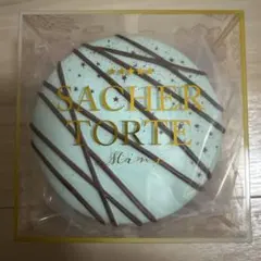 【iBLOOM 】ザッハトルテ ミニ チョコミントスクイーズ ブルーム