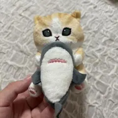 モフサンド　ふ
