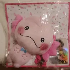 うぱごろう　パスケース　佐藤大樹 FANTASTICS