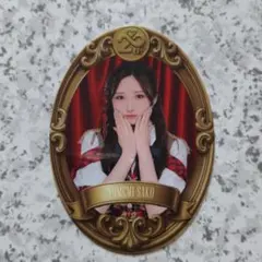 橋本恵理子 日本武道館 20周年 ステッカー 生写真 AKB48 チャンスくじ