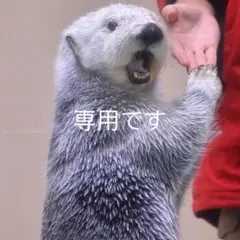 えみ様専用です