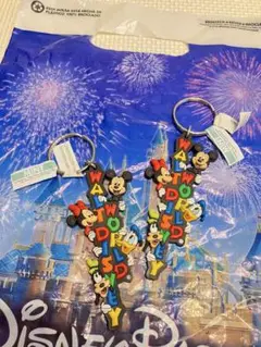 フロリダディズニーパークス ミッキーマウス キーホルダー 2個セット