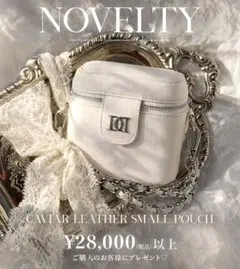 darich キャビアスキンレザースモールポーチ ノベルティ