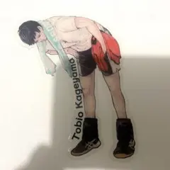 まとめ売りok ハイキュー!! ジャンプGIGA付録 影山飛雄 クリアカード