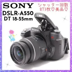 ❤即購入1000円OFF❤ソニー SONY α550 超美品 ショット数873回