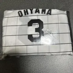阪神タイガース エコバッグ 番号3