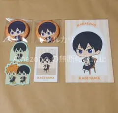 ハイキュー AMNIBUS ジャンプフェスタ 缶バッジ カード 特典 影山 日向