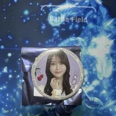 Item thumbnail for item 07d33366-3856-49d6-92a1-cde846418db5