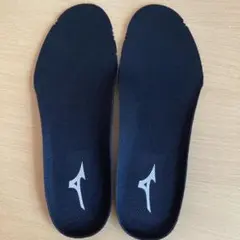 MIZUNOバレーボールシューズ　インソールのみ　25.5㎝　ミズノ　黒