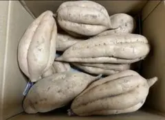 種子島産安納芋こがね3L以上5kg