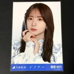 2026年最新】菅原咲月の人気アイテム - メルカリ