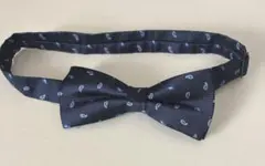 Item thumbnail for item 384138fb-4fc5-43b7-a2ec-7010f5d7f872