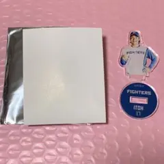 伊藤大海選手 リトルアクリルスタンド BIGBOSSポーズ