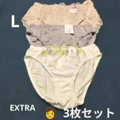 値下げ♡　EXTRAグレード　レディースショーツフロント刺繍　L 3枚セット