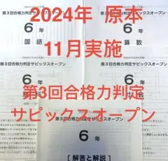 2025年最新】サピックスオープン 3年の人気アイテム - メルカリ