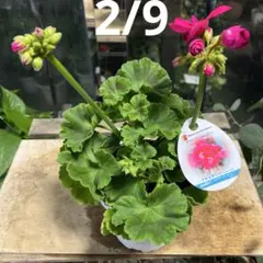 まいまい様 リクエスト 5点 まとめ商品