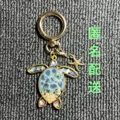 海塗りレジンチャーム　ホヌ