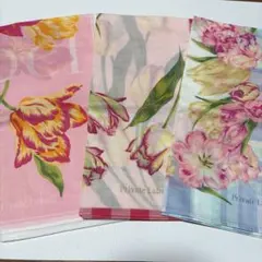 Item thumbnail for item 5cb43a5b-d270-4741-9c79-30e2c6597903