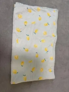 Item thumbnail for item 3df80a30-45c8-4a98-a994-b08da5338f06