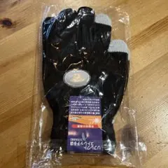 Item thumbnail for item f753ca5e-e99f-478b-a60e-33eb0fe42302