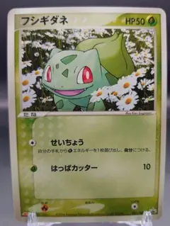 フシギダネ meiji 明治 プロモ