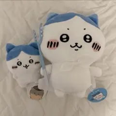 ハチワレ 特訓スタイルBIGぬいぐるみ くりまんじゅうと一緒ぬいぐるみ セット