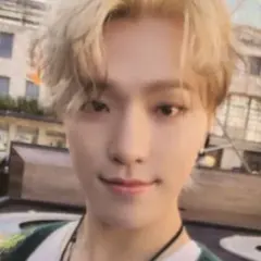 【公式】ディノ ラキドロ トレカ heaven seventeenセブチ