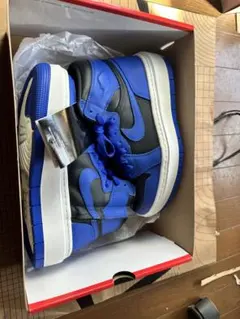 NIKE WMNS AIR JORDAN 1 ELEVATE HIGH