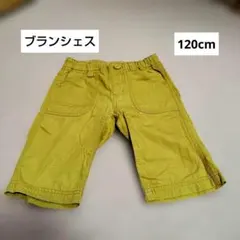 【Branshes】 半ズボン 120cm イエロー