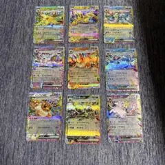 イーブイ　全集　テラスタルフェスex