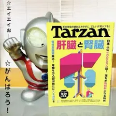 Item thumbnail for item a8b38647-3c7d-41ce-b28a-ff991eeeb187