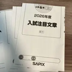 2026年最新】サピックス6年テキスト国語の人気アイテム - メルカリ