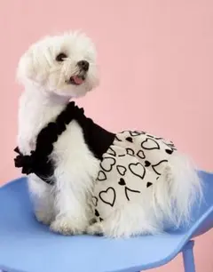 犬用 ハート柄 フリル ワンピース ブラックXSサイズのサムネイル