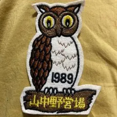 ボーイスカウト 山中野営場フクロウ 刺繍ワッペン 1989年