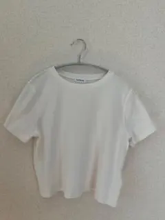 LEPSIM 半袖 クロップド丈 Tシャツ ホワイト Fサイズのサムネイル