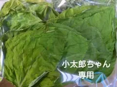 Item thumbnail for item 044ca44c-63cb-4275-9ef4-f19104d33697