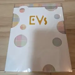 EVs イーブイズ　アートブック　イラスト集
