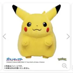 おかえりピカチュウ 新品 - メルカリ